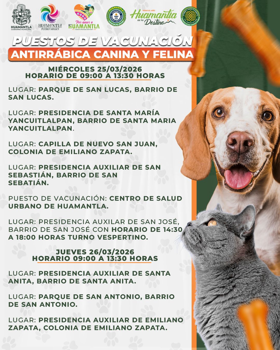 Tendrá Huamantla jornada de vacunación antirrábica canina y felina